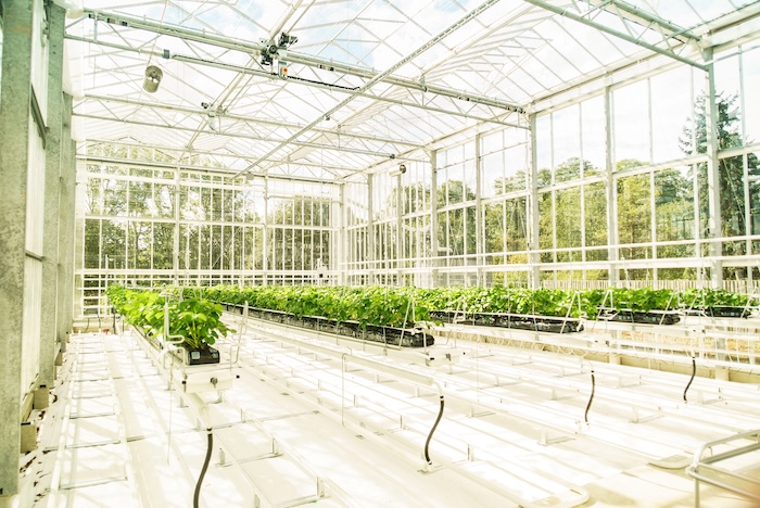 robocrops2