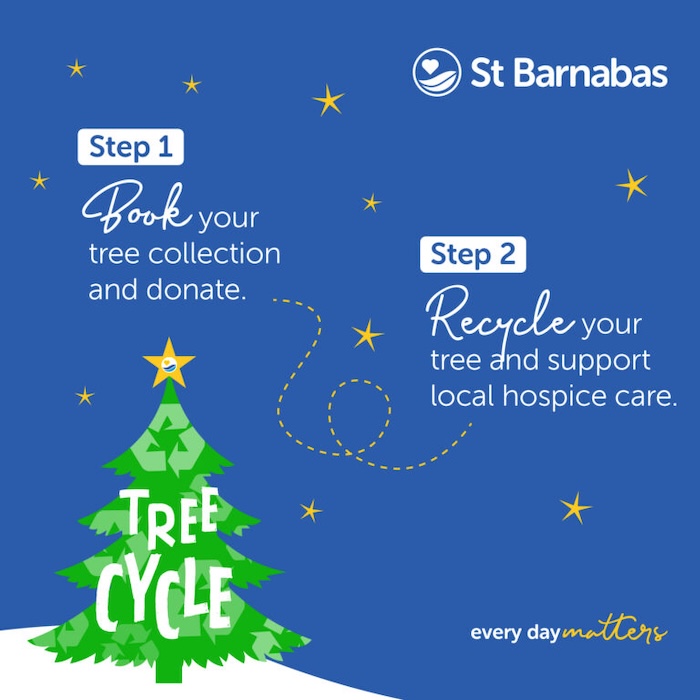 Tree cycle 3