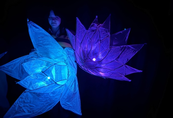 coll lights 2