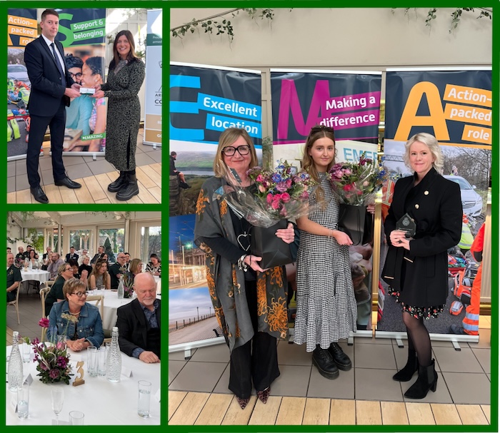 Lincs awards collage 6