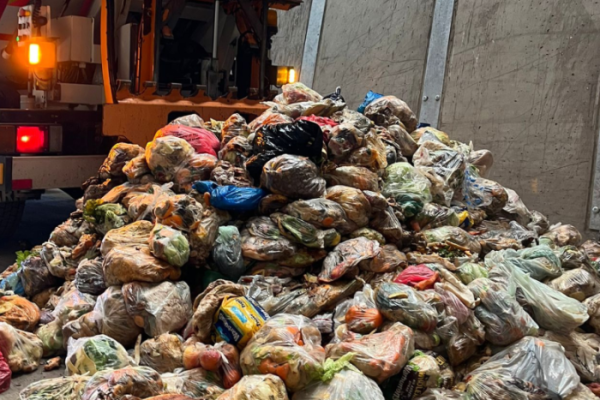 165 tonnes of food waste collected in first collection week