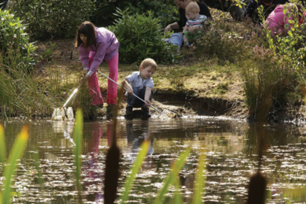Events in city parks during school holidays