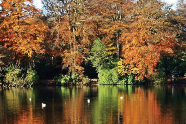 Hartsholme car park shut for three weeks