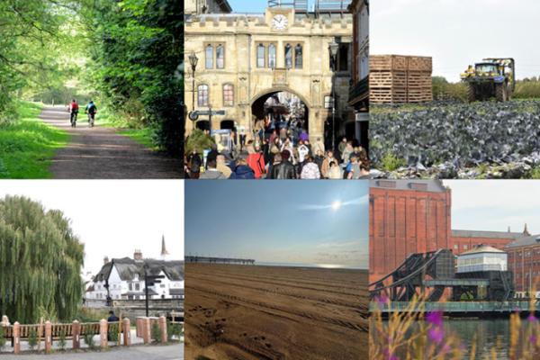 Have your say on who runs your local services